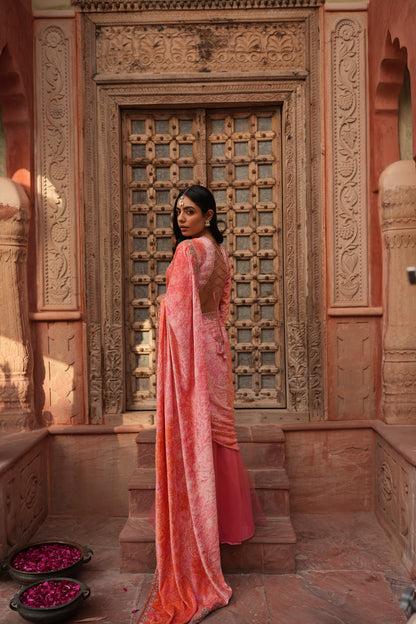 Millennial Pink Velvet Saree